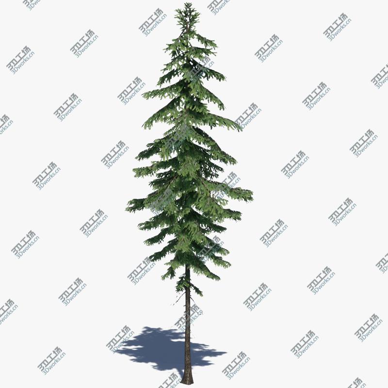 images/goods_img/2021040232/3D Pine Tree Pack 01/4.jpg